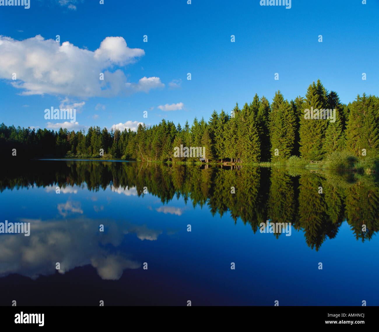 Trees reflecting lake day hi-res stock photography and images - Alamy