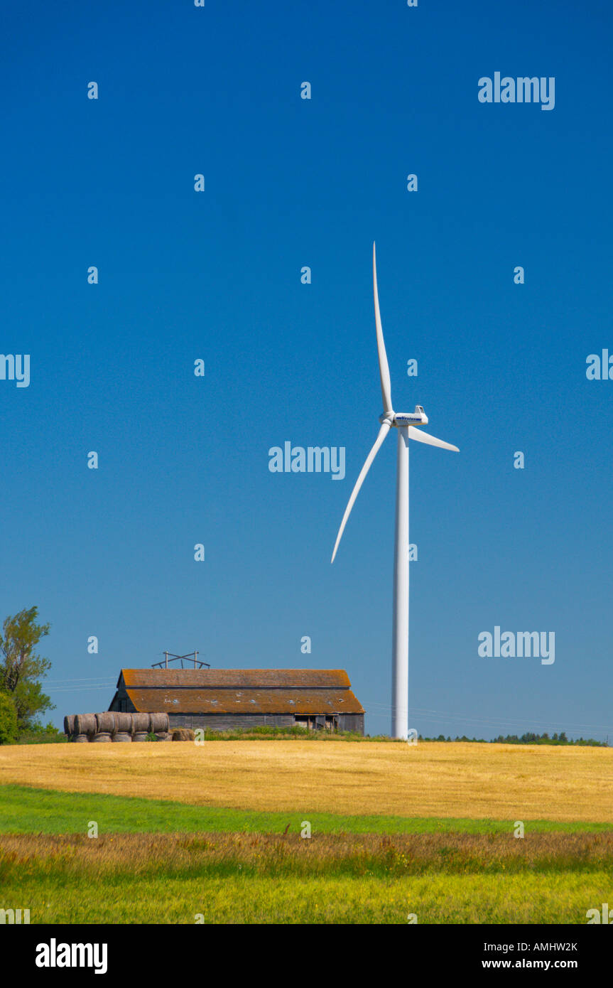 Electrical windfarm windmills and a ripe grain field near St Leon Manitoba Canada Stock Photo