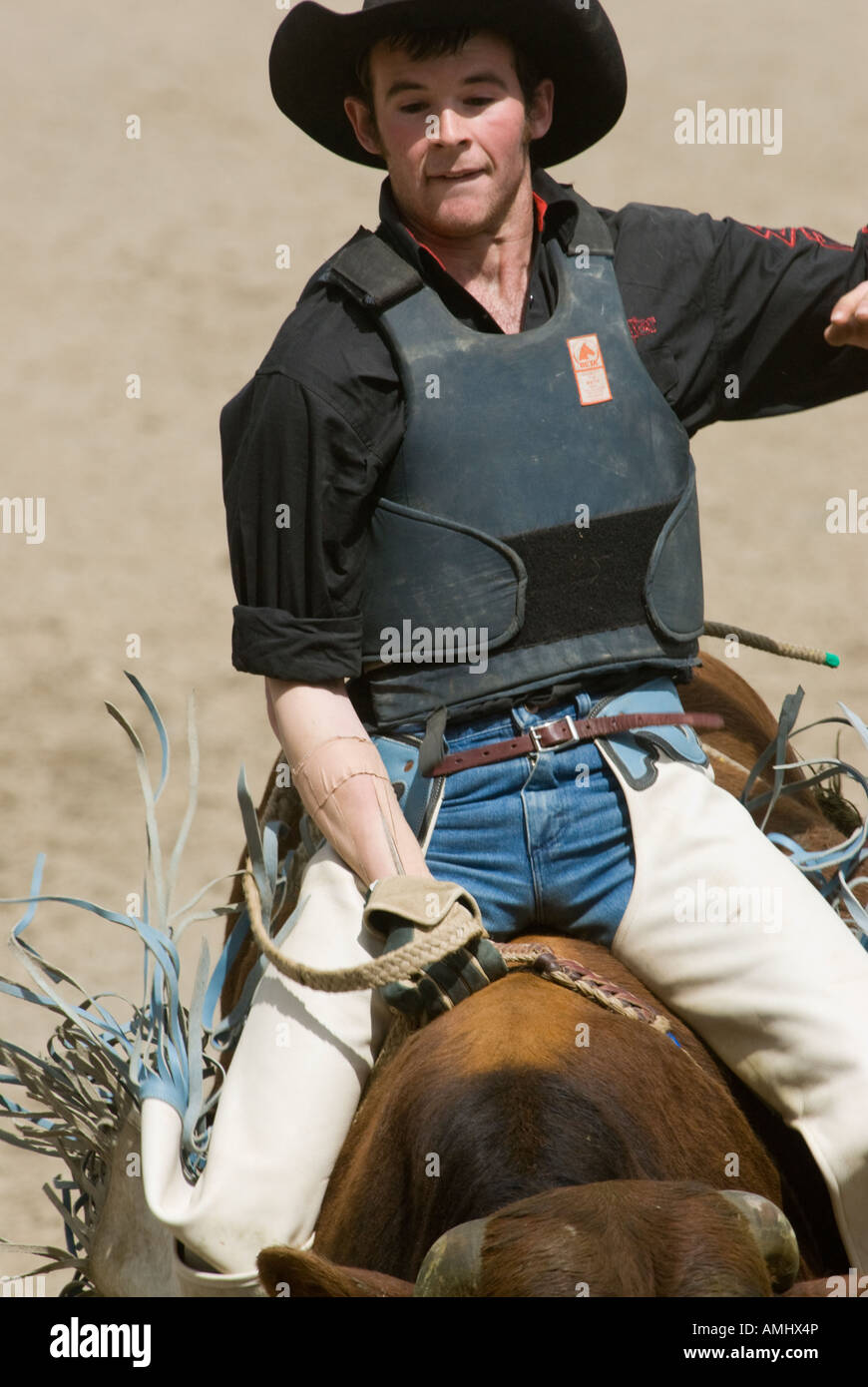 Bull hat hi-res stock photography and images - Alamy