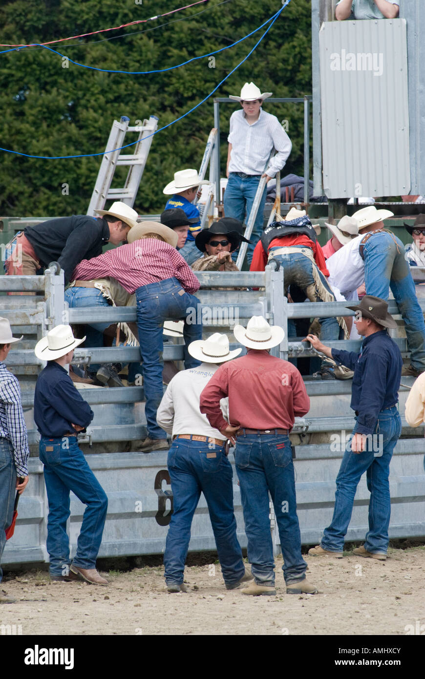 Rodeo new zealand hi-res stock photography and images - Alamy