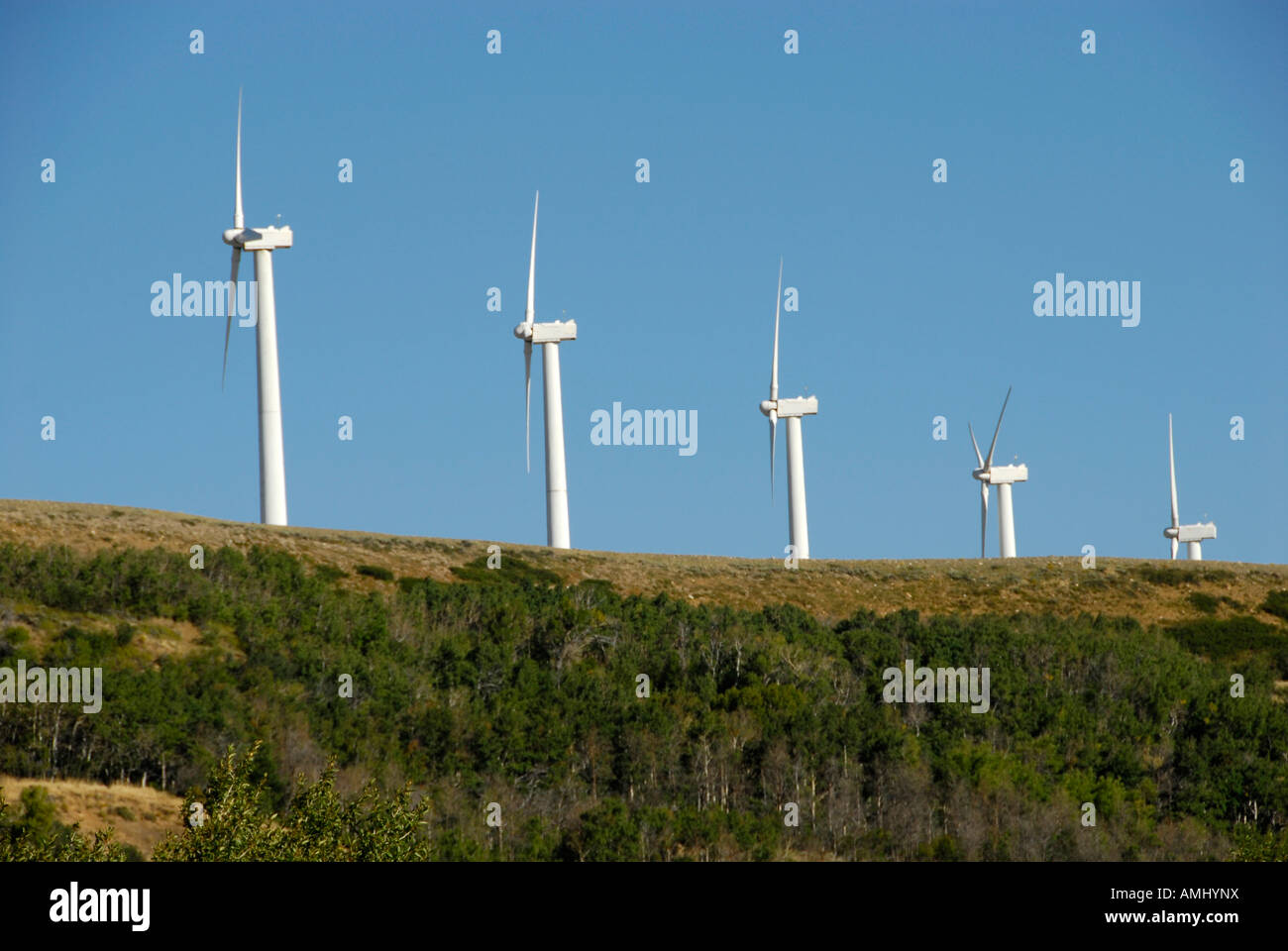 Wind powered turbine windmills in Wyoming WY Stock Photo Alamy