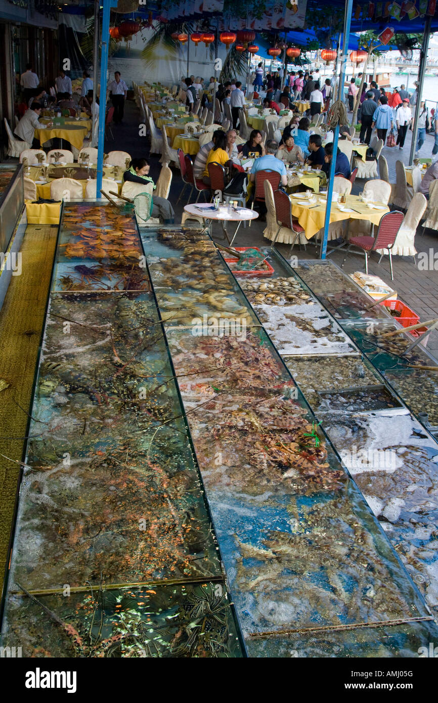 Live Fish and Shellfish in Tanks at a Chinese Seafood Restaurant Sai