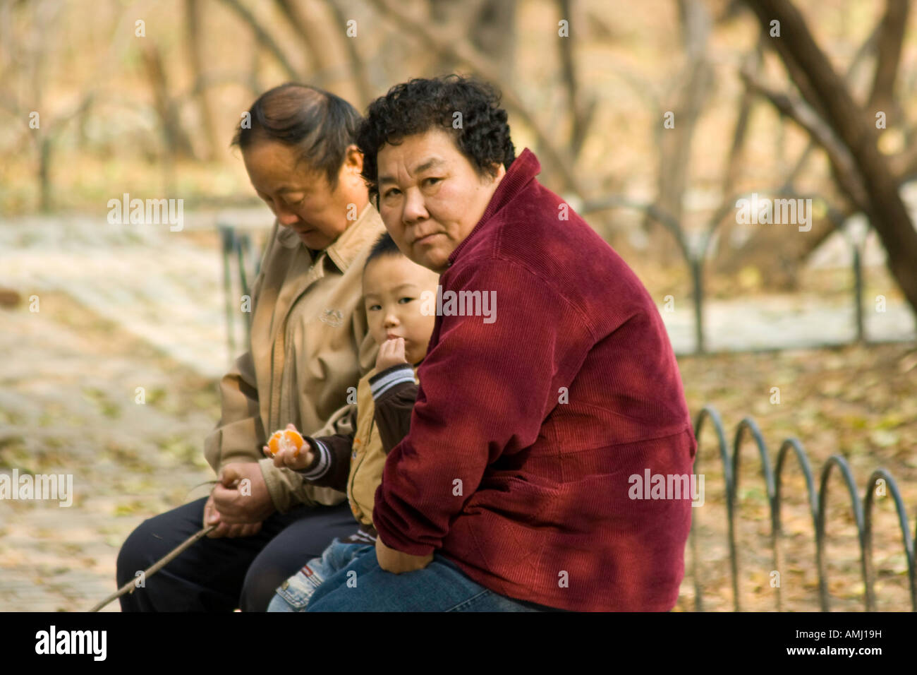 Chinese Grandparents and Grandson on a Park Bench Beijing China Stock Photo