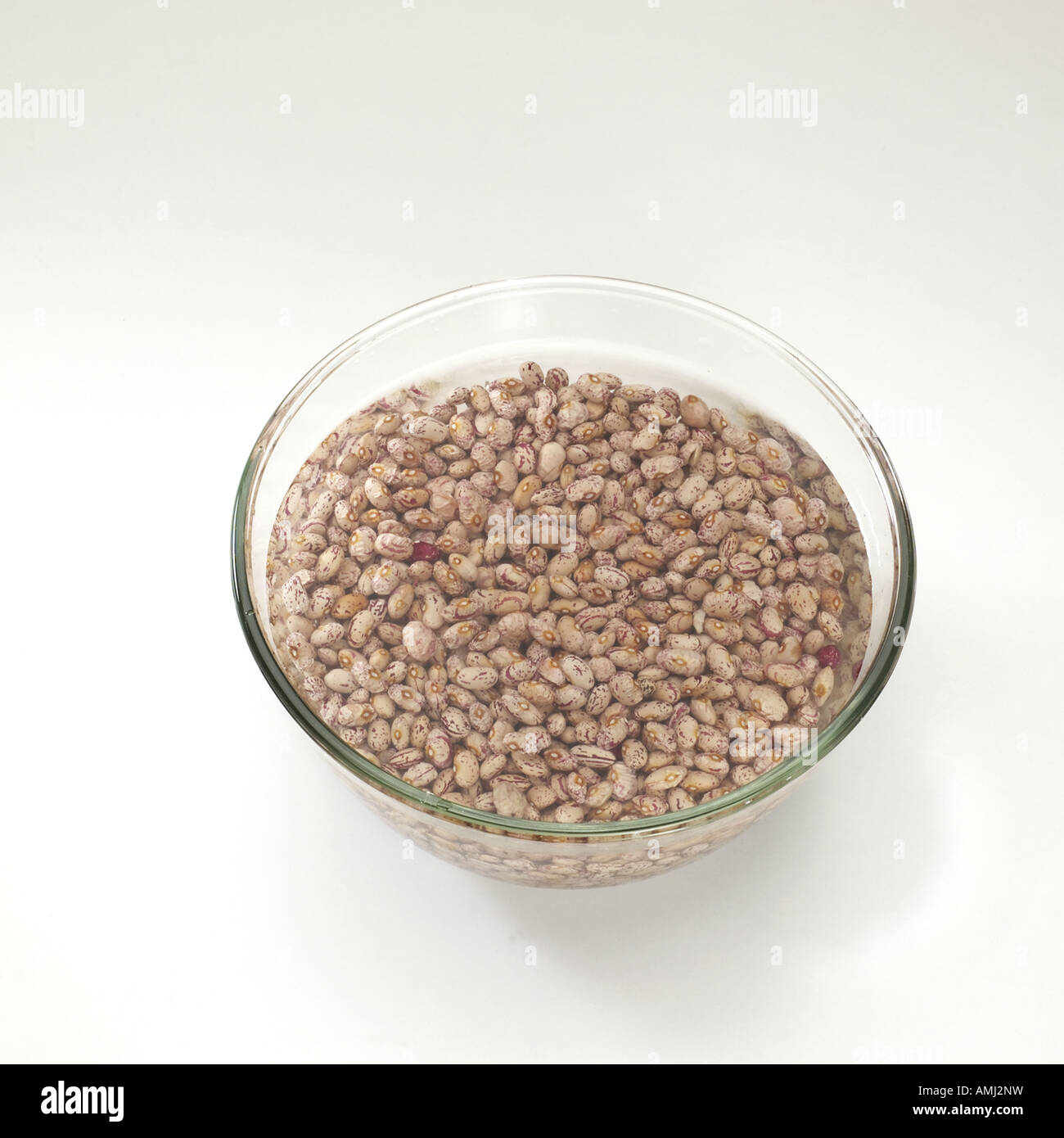 Kidney beans in water Stock Photo Alamy