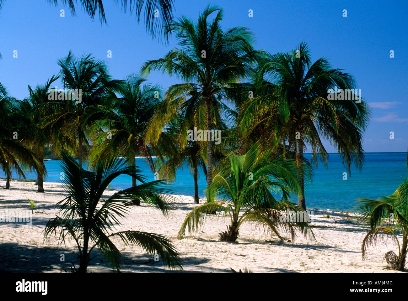 Guanahacabibes peninsula hires stock photography and images Alamy