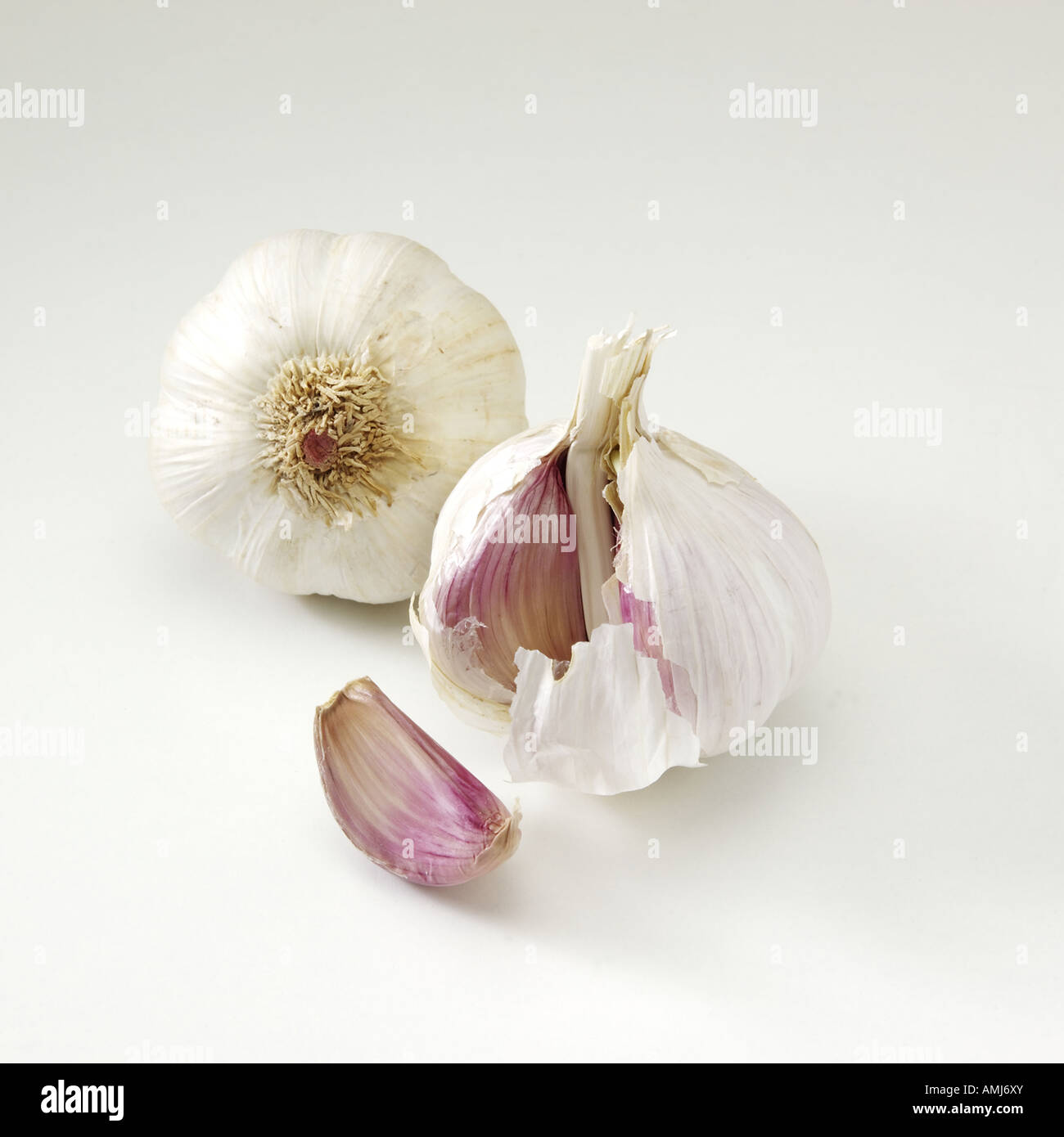 Head of garlic Stock Photo Alamy