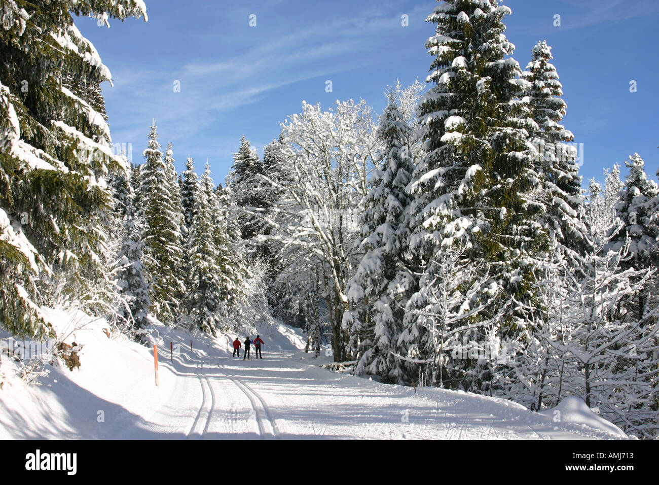 Winter Landscape in Gantrisch Region of Swissalps Stock Photo