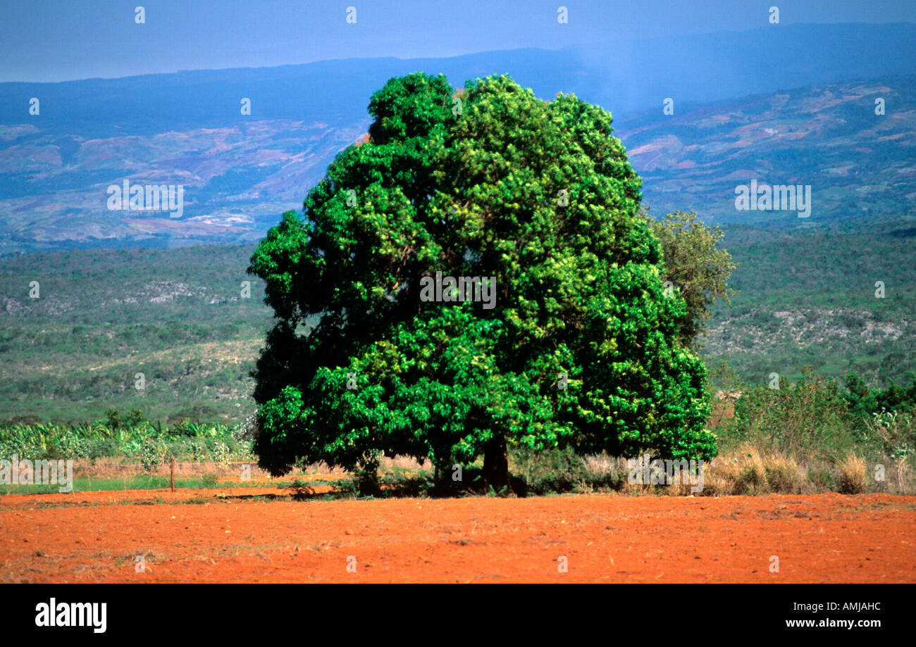 Rote Erde High Resolution Stock Photography and Images - Alamy