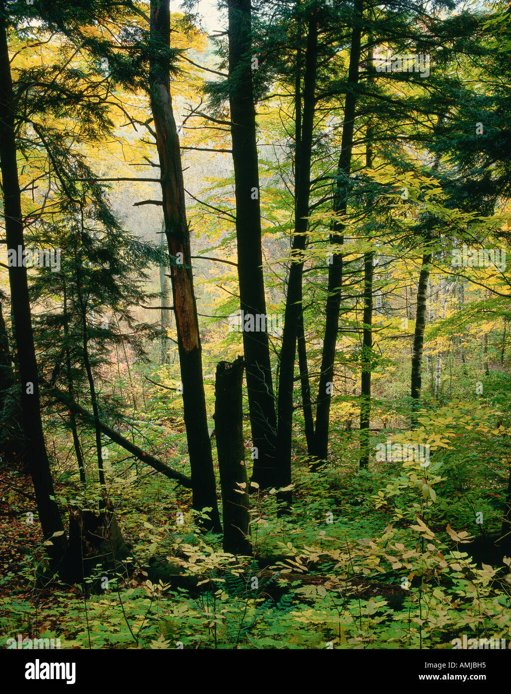 Rouge River Valley, Scarborough, Ontario, Canada Stock Photo Alamy