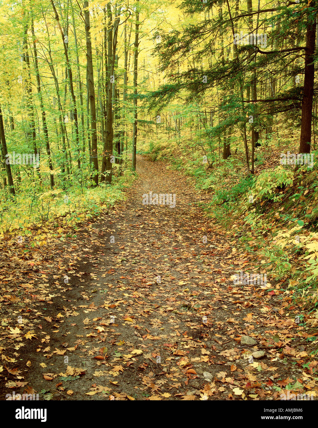 Rouge River Valley Park, Scarborough, Ontario, Canada Stock Photo Alamy