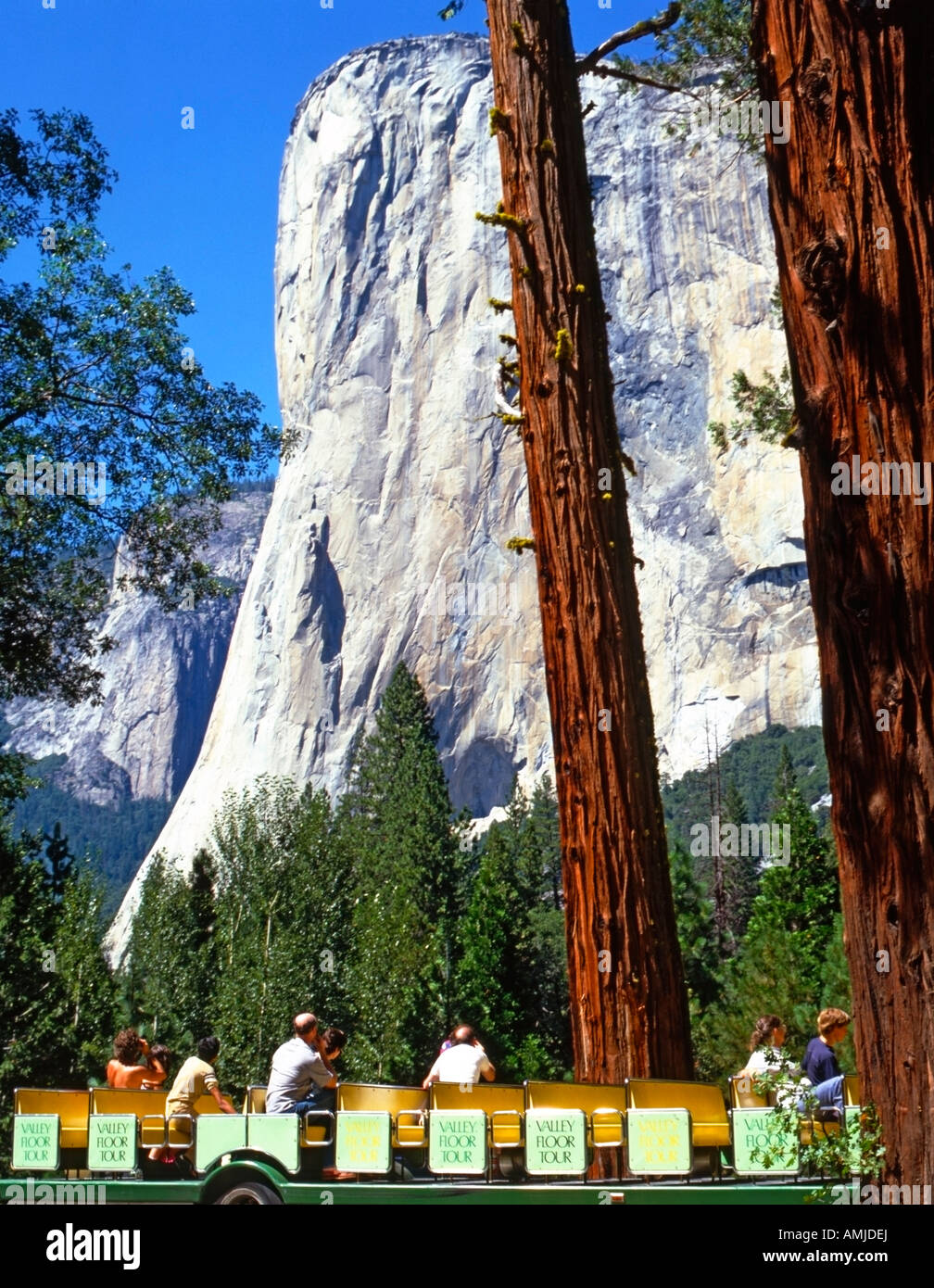 Tourists Taking The Valley Floor Tour Admiring The View