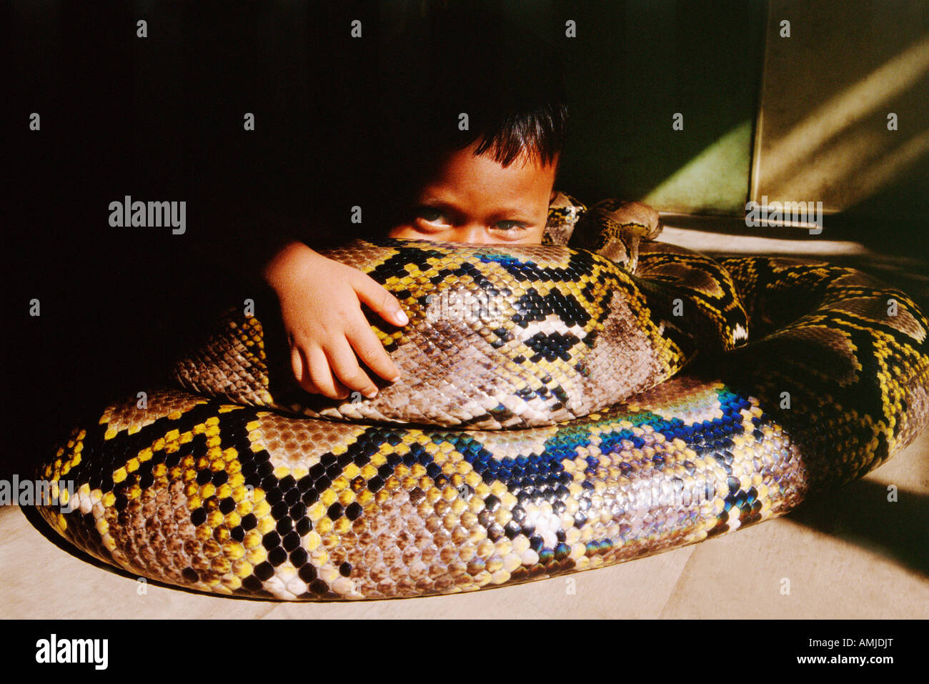 Netzpython Indonesien Familly With Tame Reticulated Python Python Reticulatus Animals Exotische Haustiere Haustiere House Pets K Stock Photo Alamy