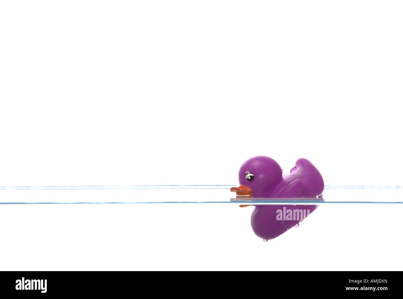 Purple rubber duck sinking beneath the water surface Stock Photo