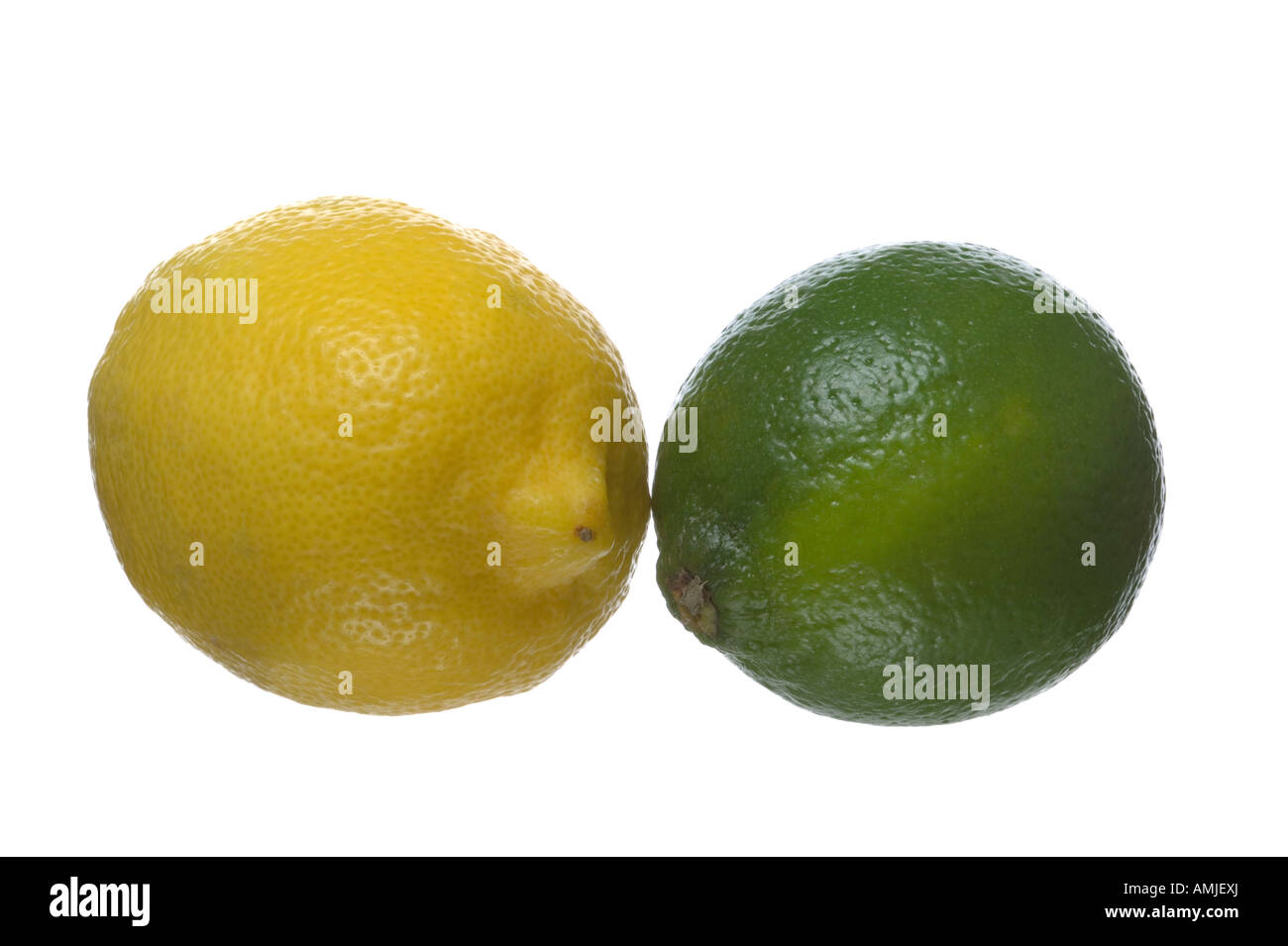 Lemon and Lime isolated on a white background Stock Photo Alamy