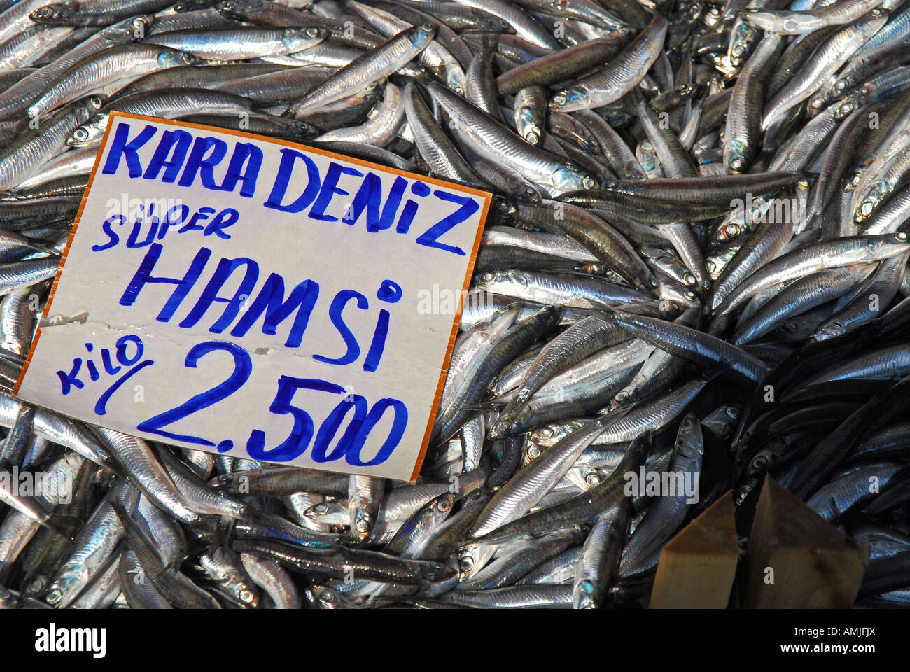 ISTANBUL. Fish for sale at the fish market (balikcisi) by the Galata ...
