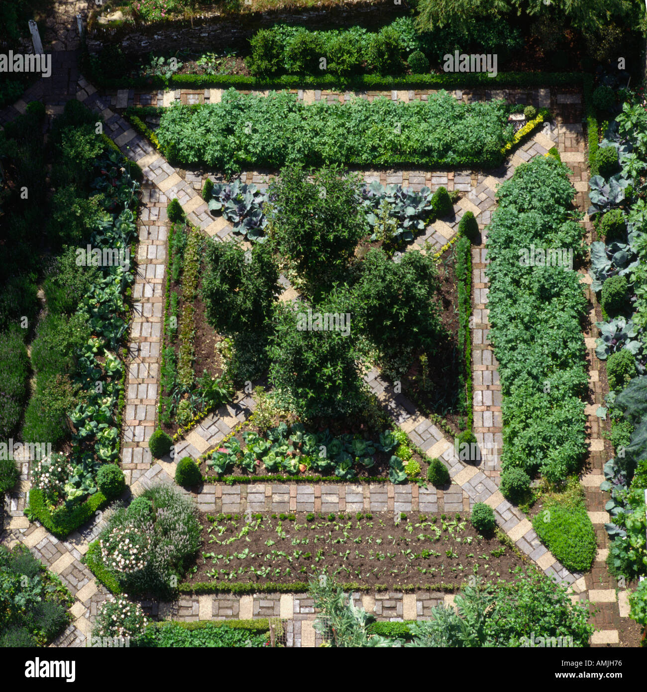 Overhead aerial view of Vegetable Potager garden Stock Photo