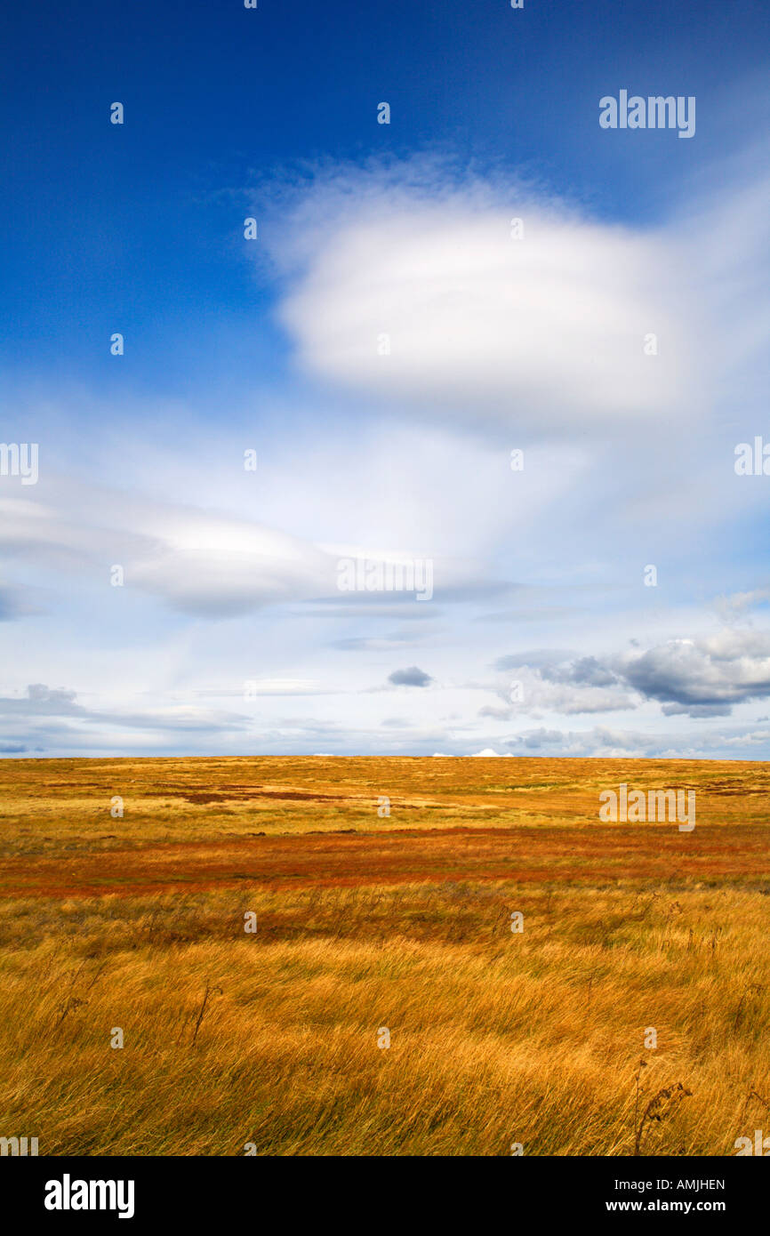 Heather on Blubberhouses Moor North Yorkshire England Stock Photo Alamy