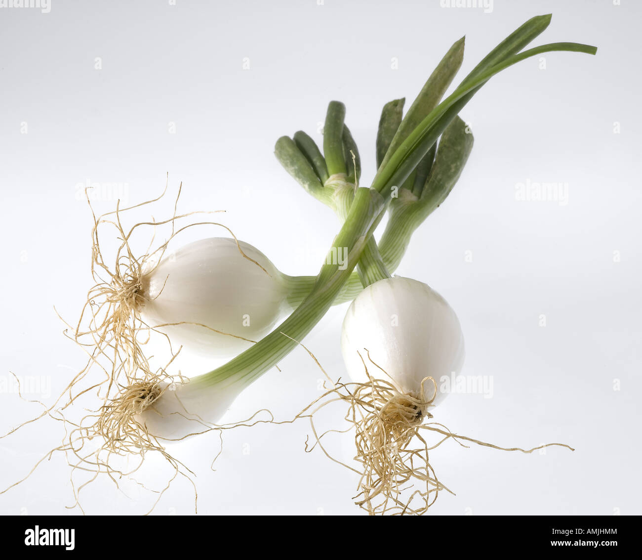 Spring Cut Out Stock Images & Pictures - Alamy