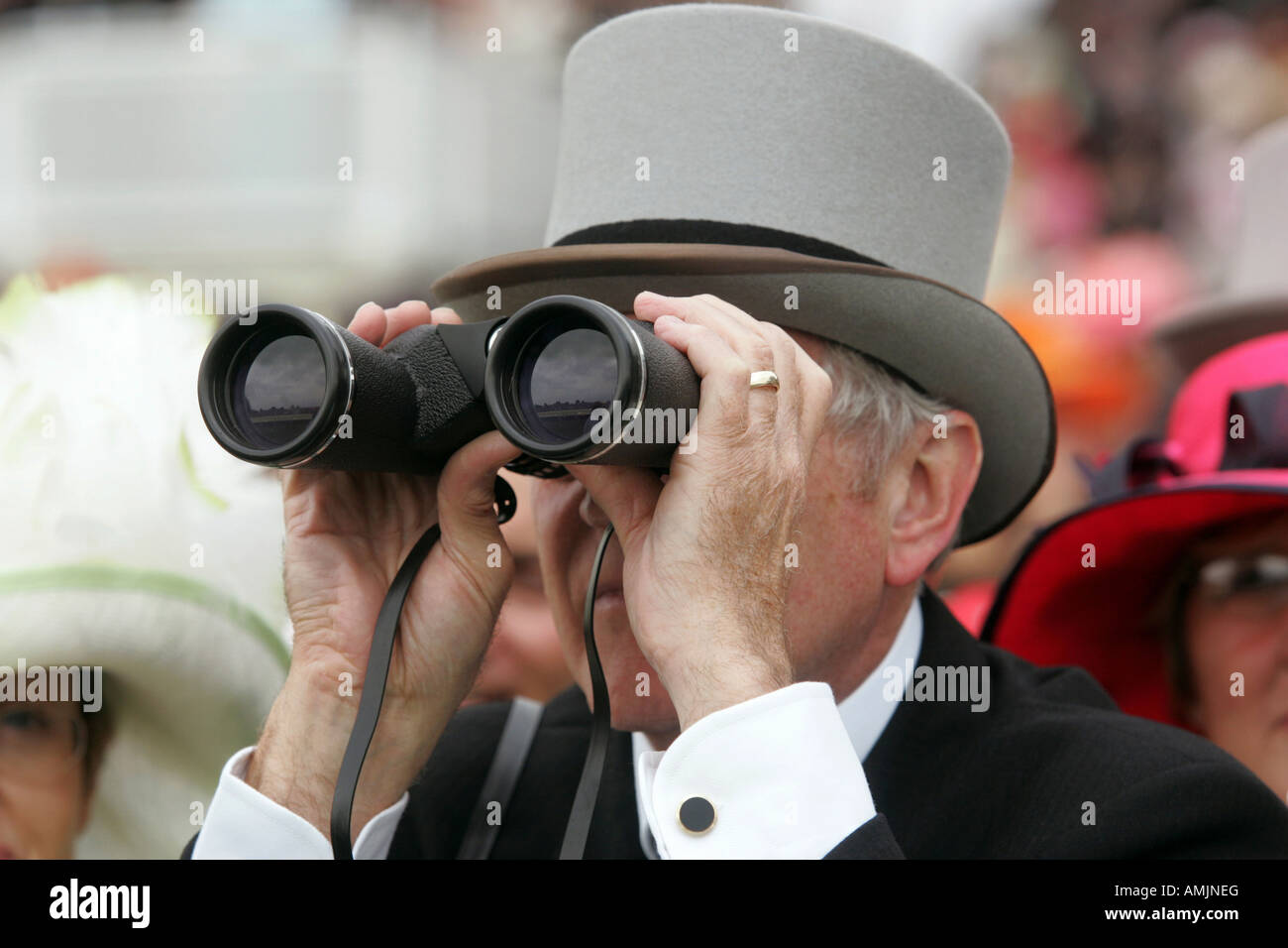 Man looking through binoculars at Royal Ascot horse race, York, Great  Britain Stock Photo - Alamy
