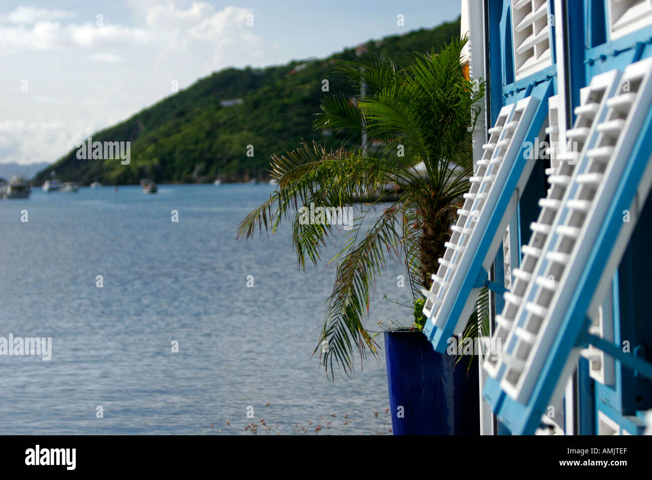Blue and white open louvred windows and palm Gustavia Harbour St Barts Stock Photo