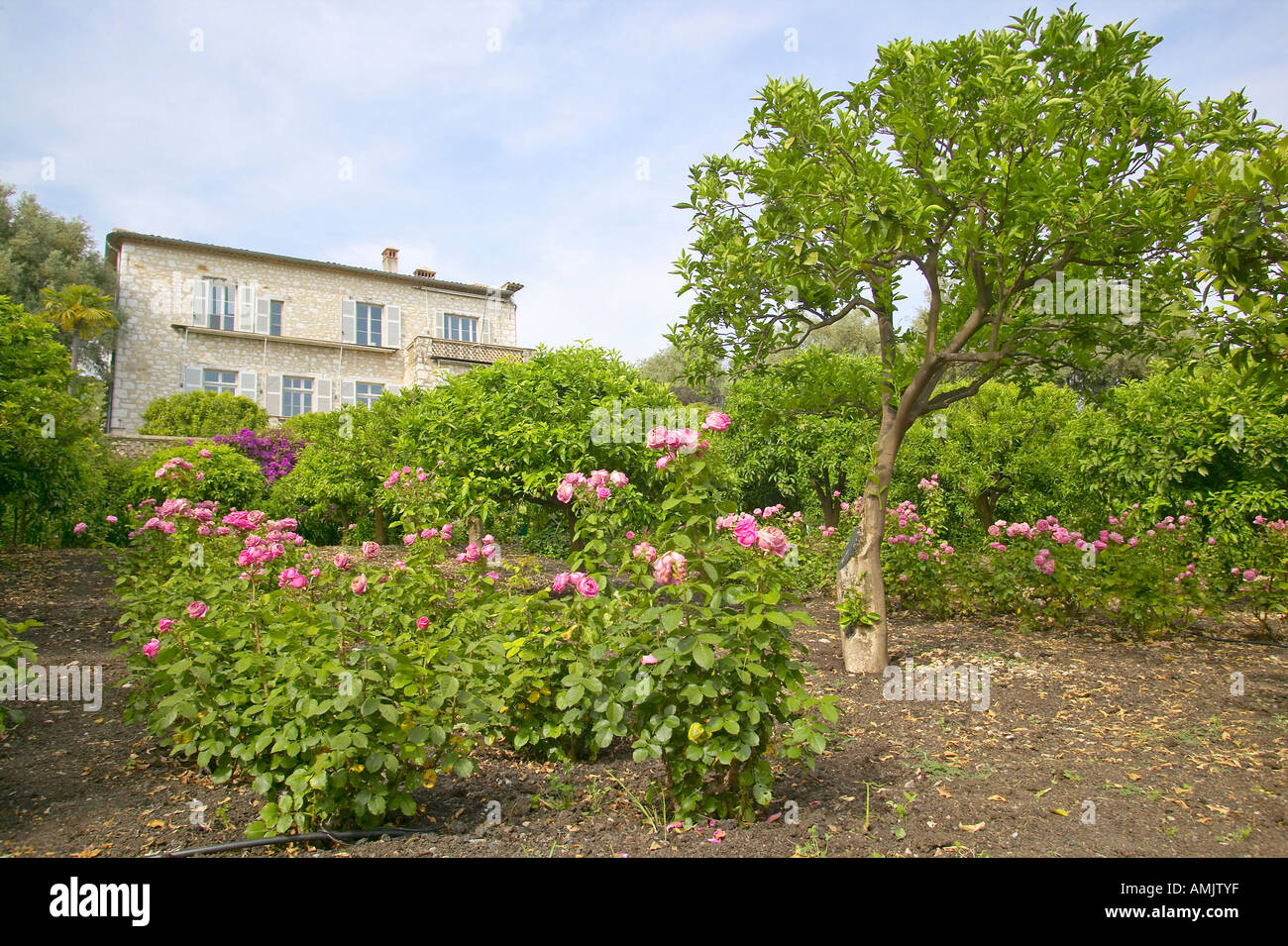 Grounds of Les Colettes Musee Renoir home of Auguste Renoir Cagnes Sur Mer France Stock Photo