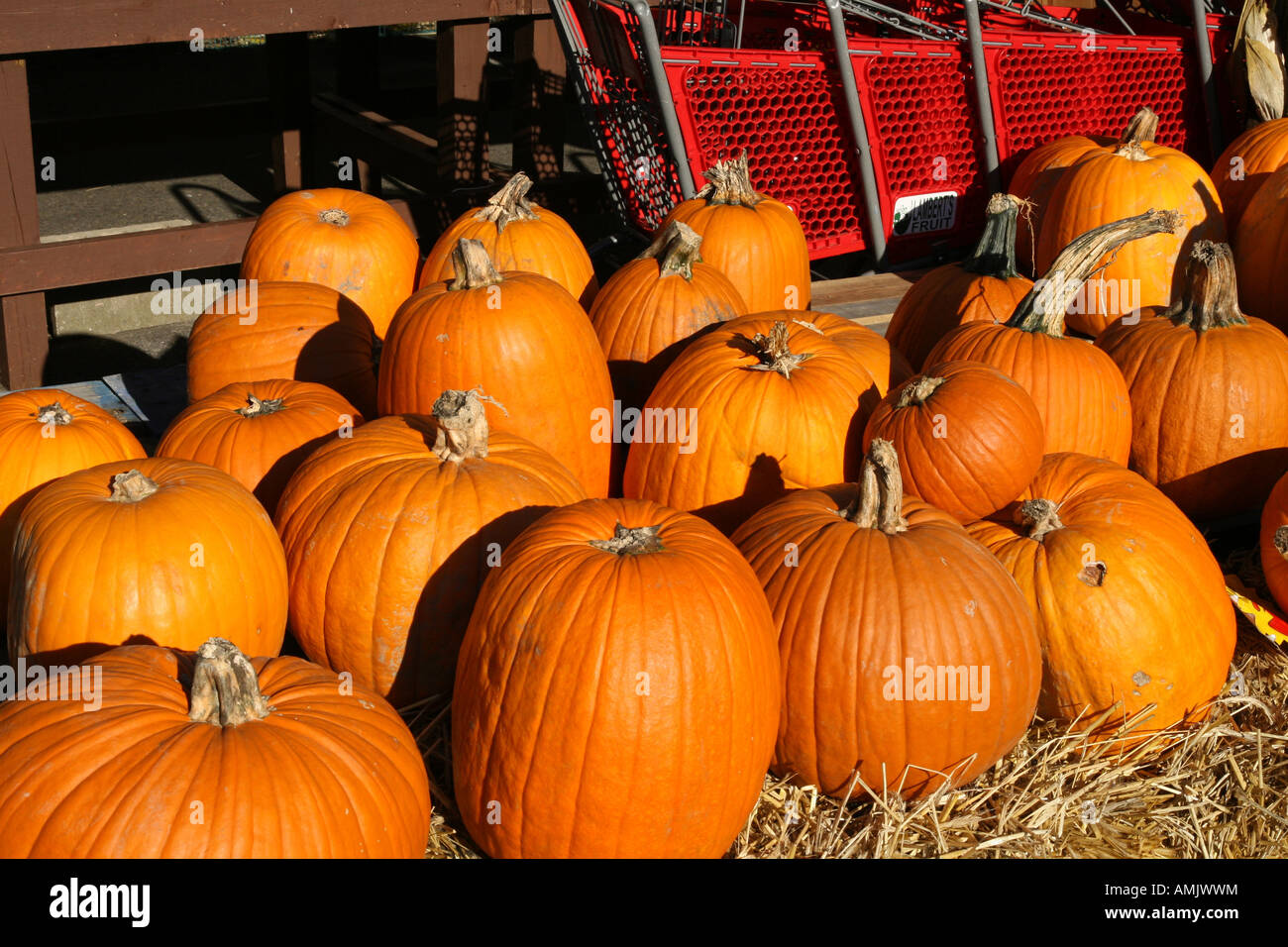 Pumpkins at farm stand in Hyannis Massachusetts USA Stock Photo - Alamy