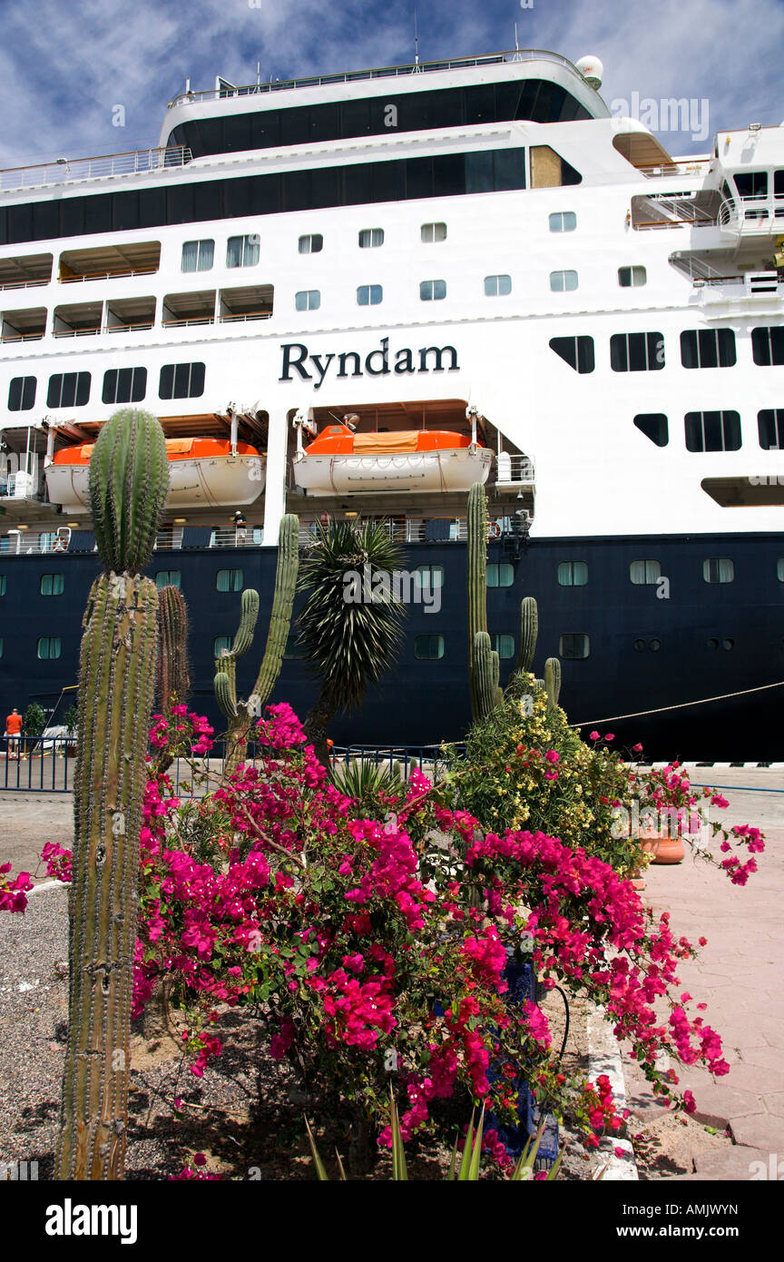 Tropical foliage at the port of Pichiligue Mexico and the Holland America cruise ship Ryndam Stock Photo