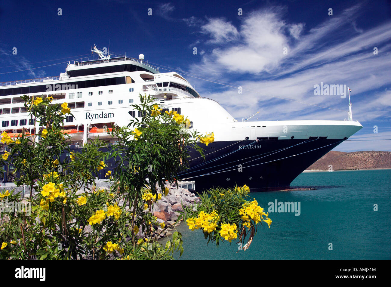 Tropical yellow flowers at the port of Pichilingue Mexico and the Holland America cruise ship Ryndam Stock Photo