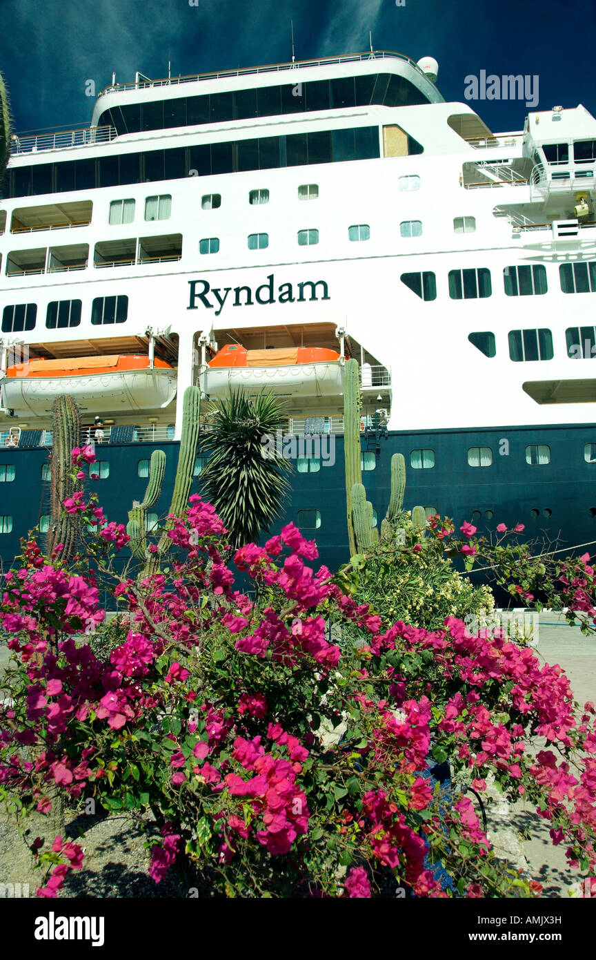 Tropical foliage at the port of Pichilingue Mexico and the Holland America cruise ship Ryndam Stock Photo