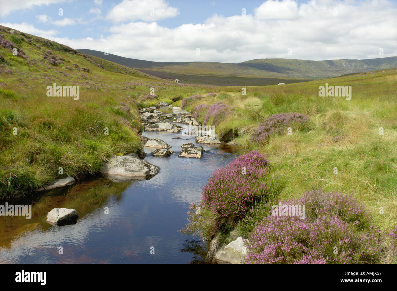 Wicklow Mountains Hills. Mountain stream in heather moorland between Sally Gap and  Laragh, County Wicklow, Ireland. Stock Photo