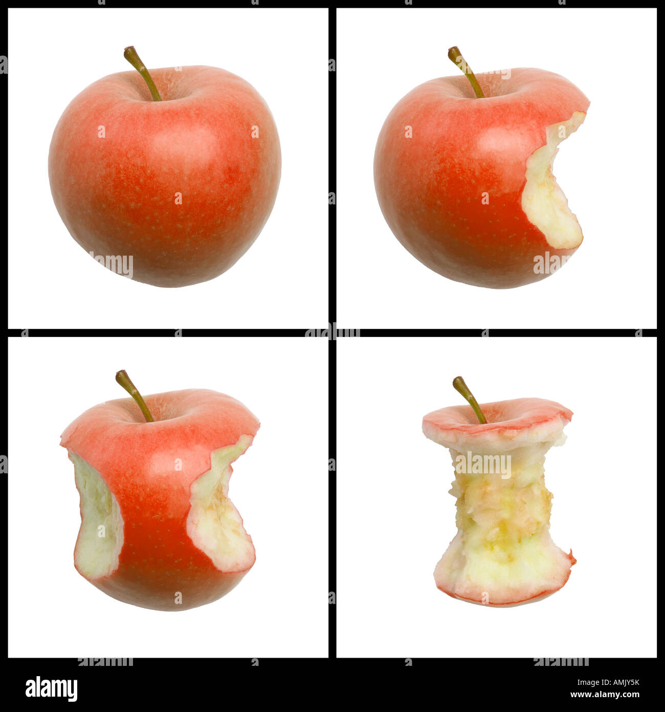 Download Four Picture Sequence Of Bites In Red Apple Stock Photo Alamy PSD Mockup Templates