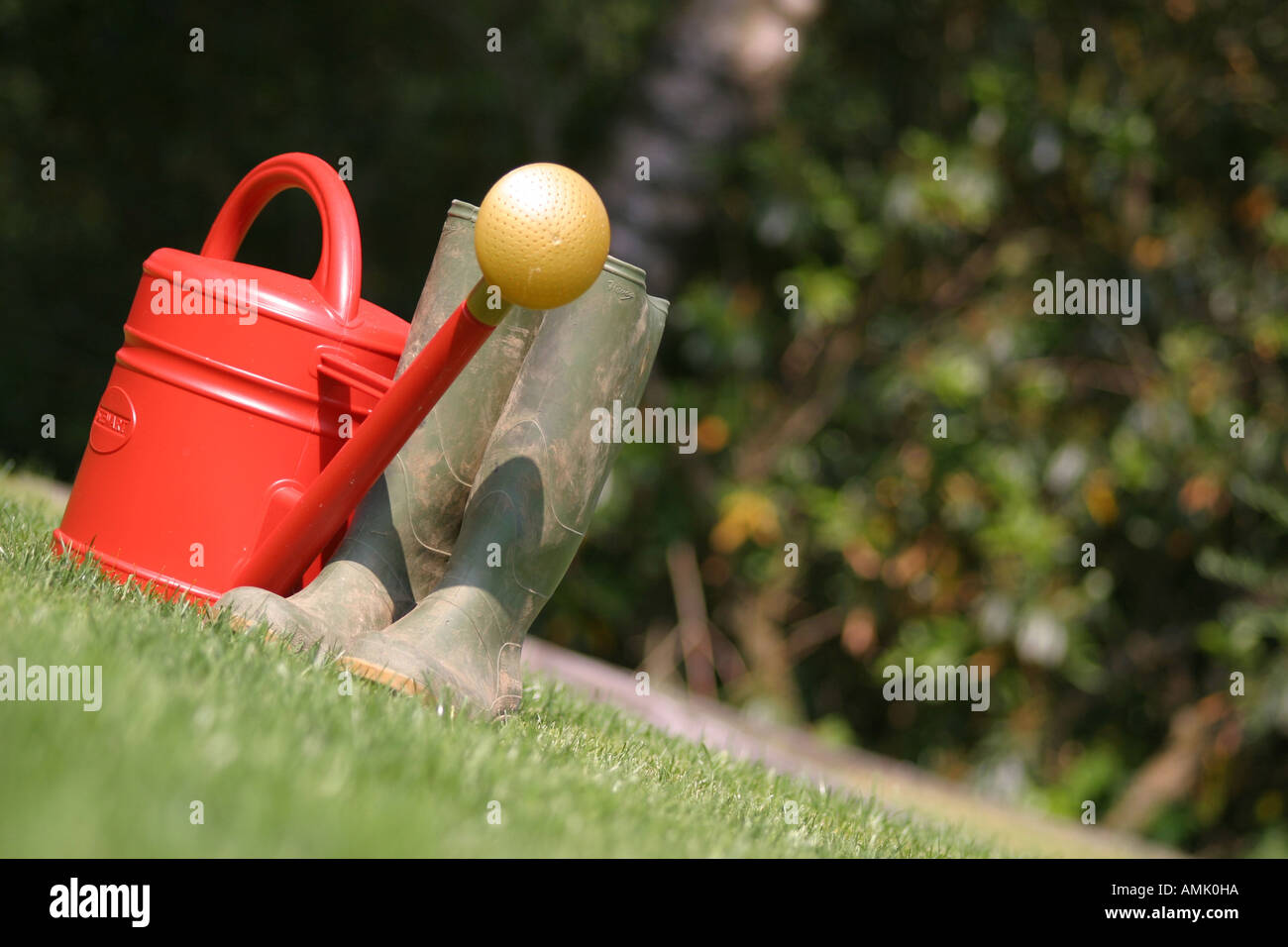 a stock photograph of wellington boots and a watering can in a garden ...
