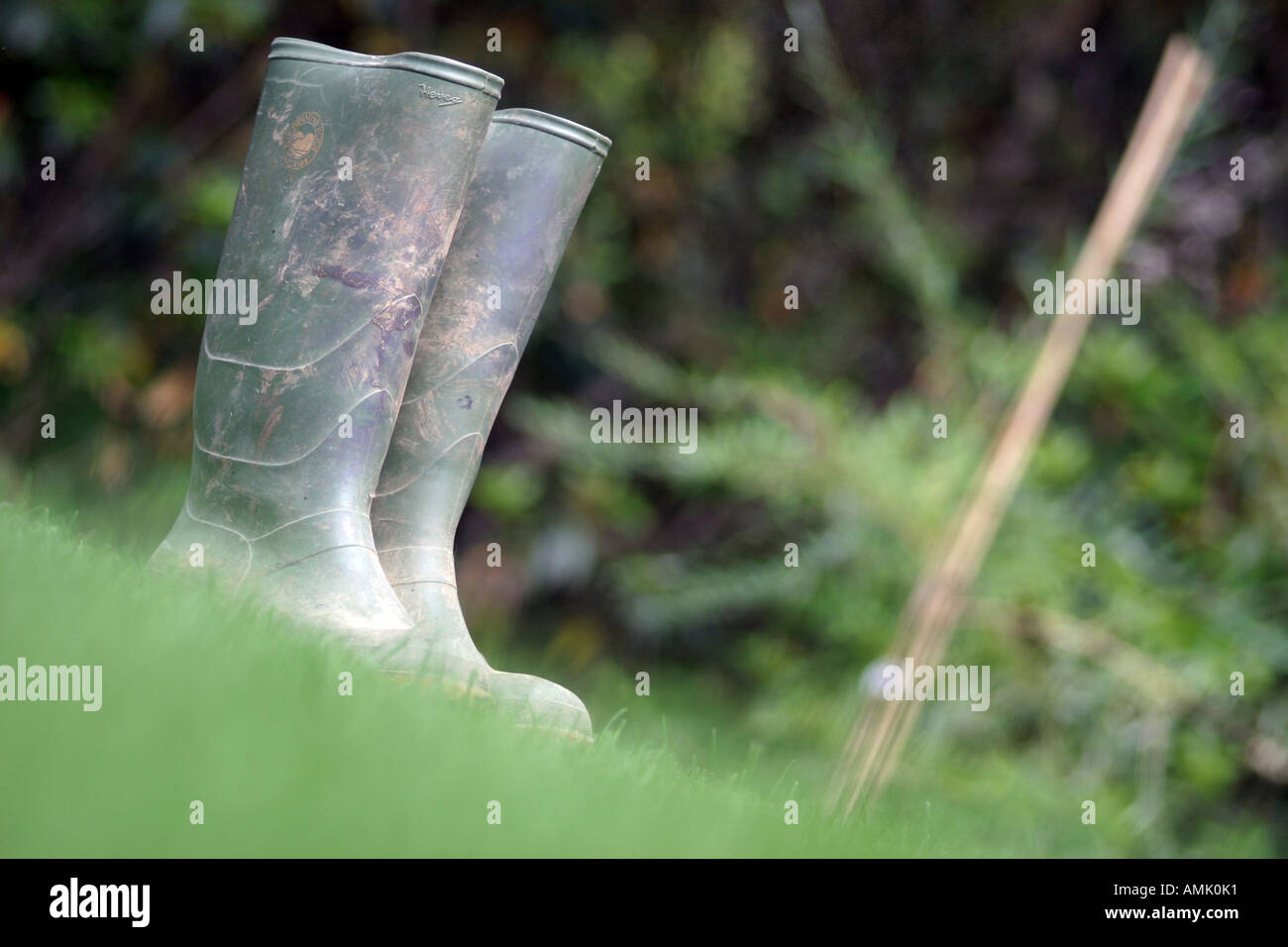 a stock photograph of wellington boots Stock Photo - Alamy