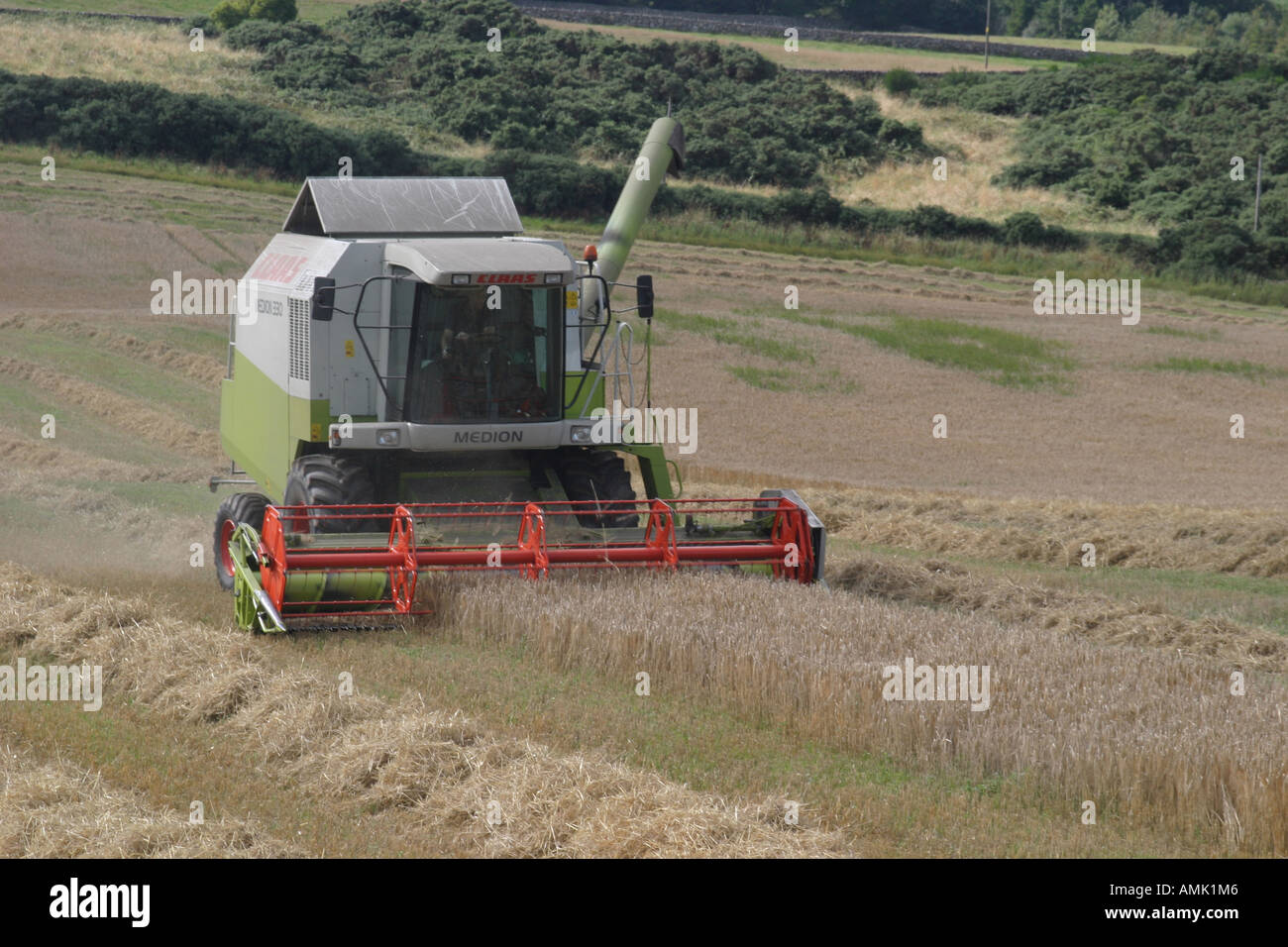 A stock photograph of a combine harvester in a field in the uk Stock Photo