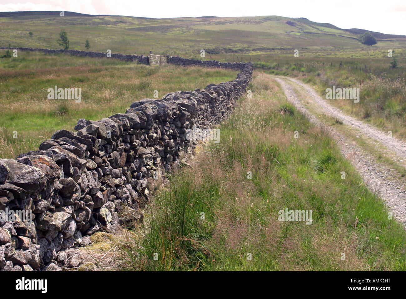 A stock photograph of a traditional dry stone wall in the lake district uk Stock Photo