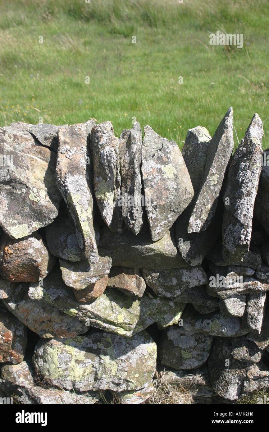 A stock photograph of a traditional dry stone wall in the lake district uk Stock Photo