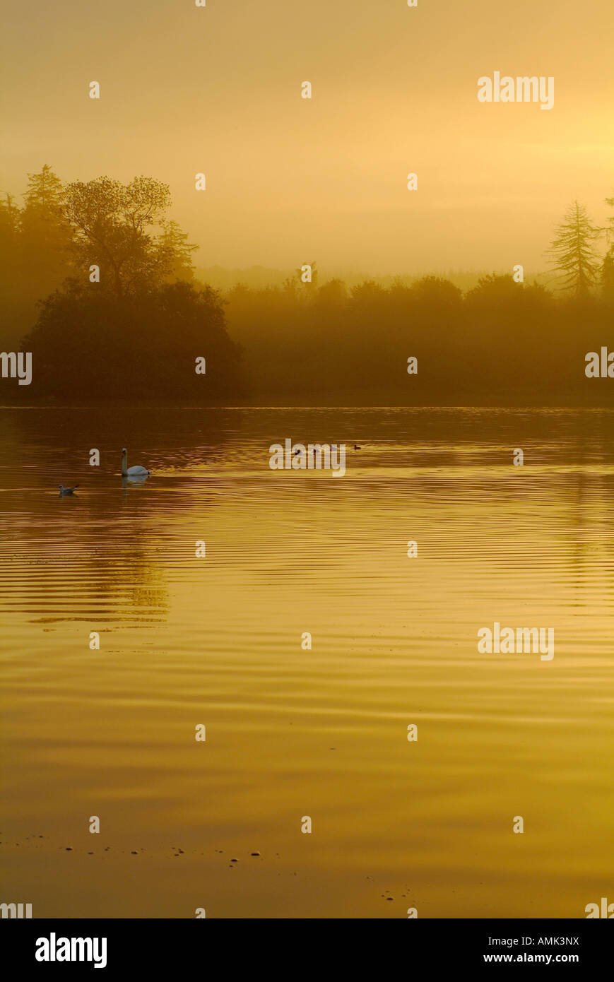 Sunrise over Hillsborough Lake, Hillsborough, County Down, Northern