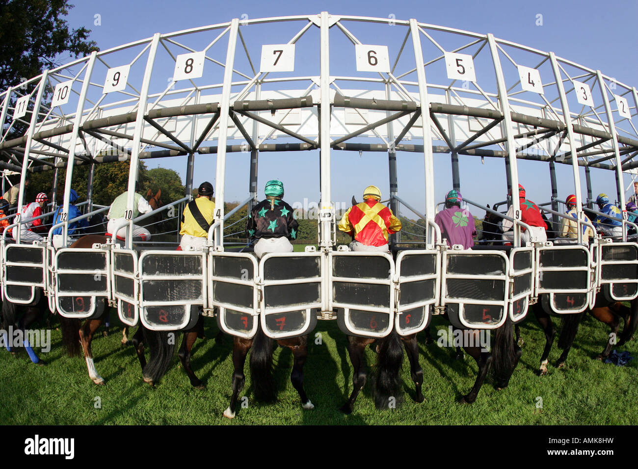 Race horses in the starting gates, Leipzig, Germany Stock Photo