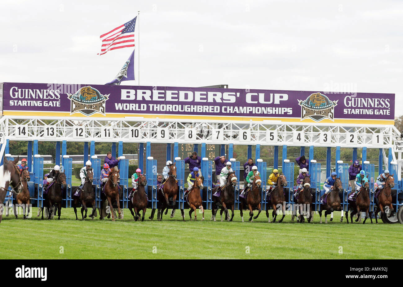 Horses Jumping Out Of Starting Gates At The Breeders Cup Horse Race New York Usa Stock Photo Alamy