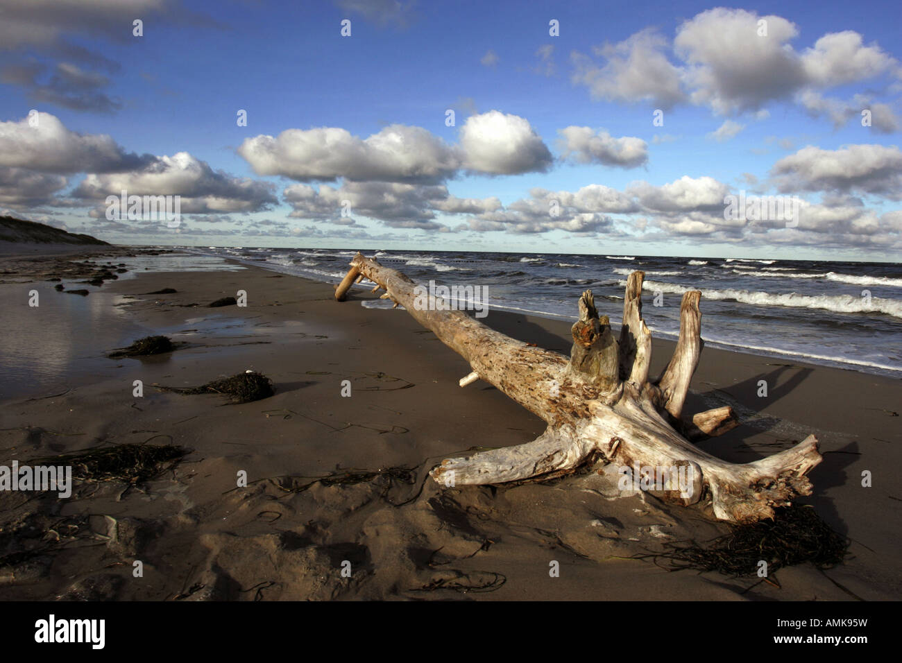 Beach at the Baltic Sea Stock Photo