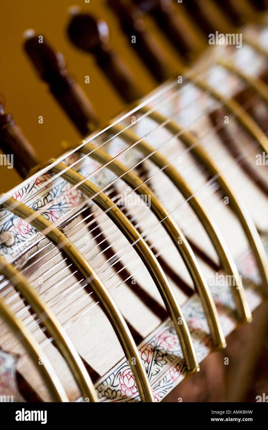 Sitar neck and strings. India Stock Photo Alamy