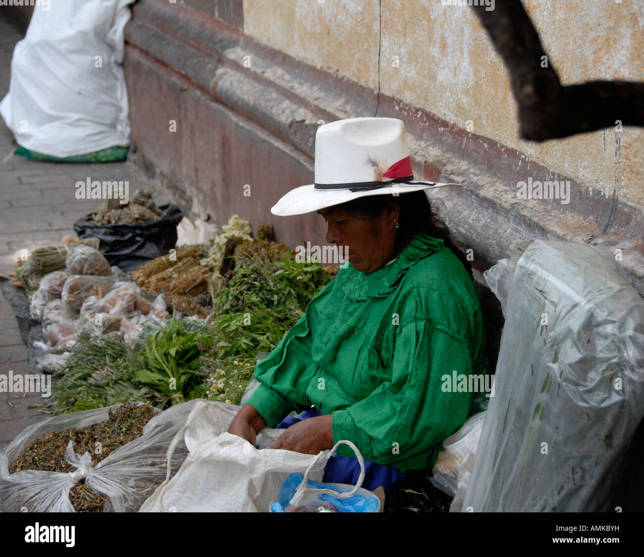 a portraite of Mexican woman selling herbs Stock Photo