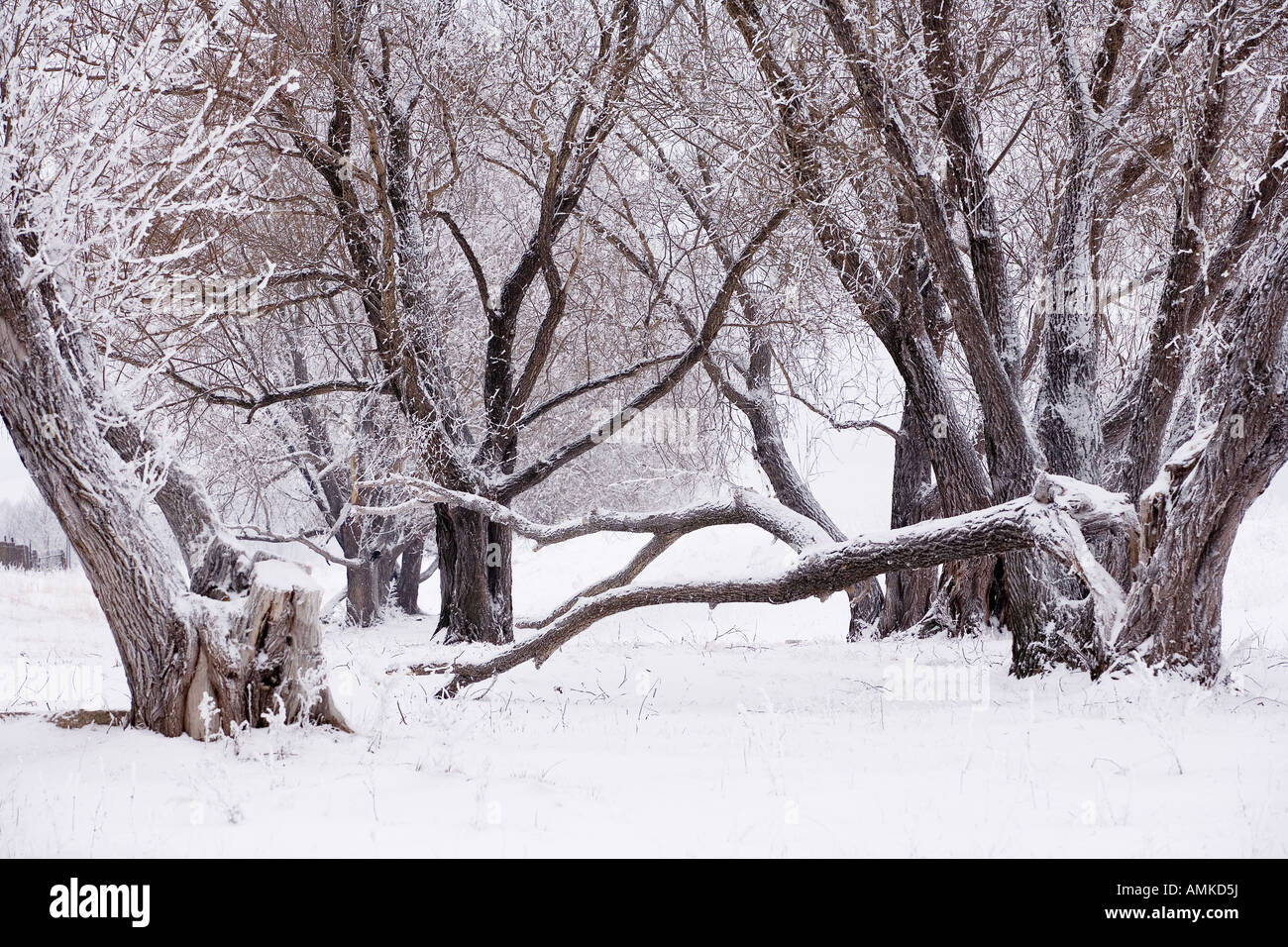 Winter season landscape hi-res stock photography and images - Alamy