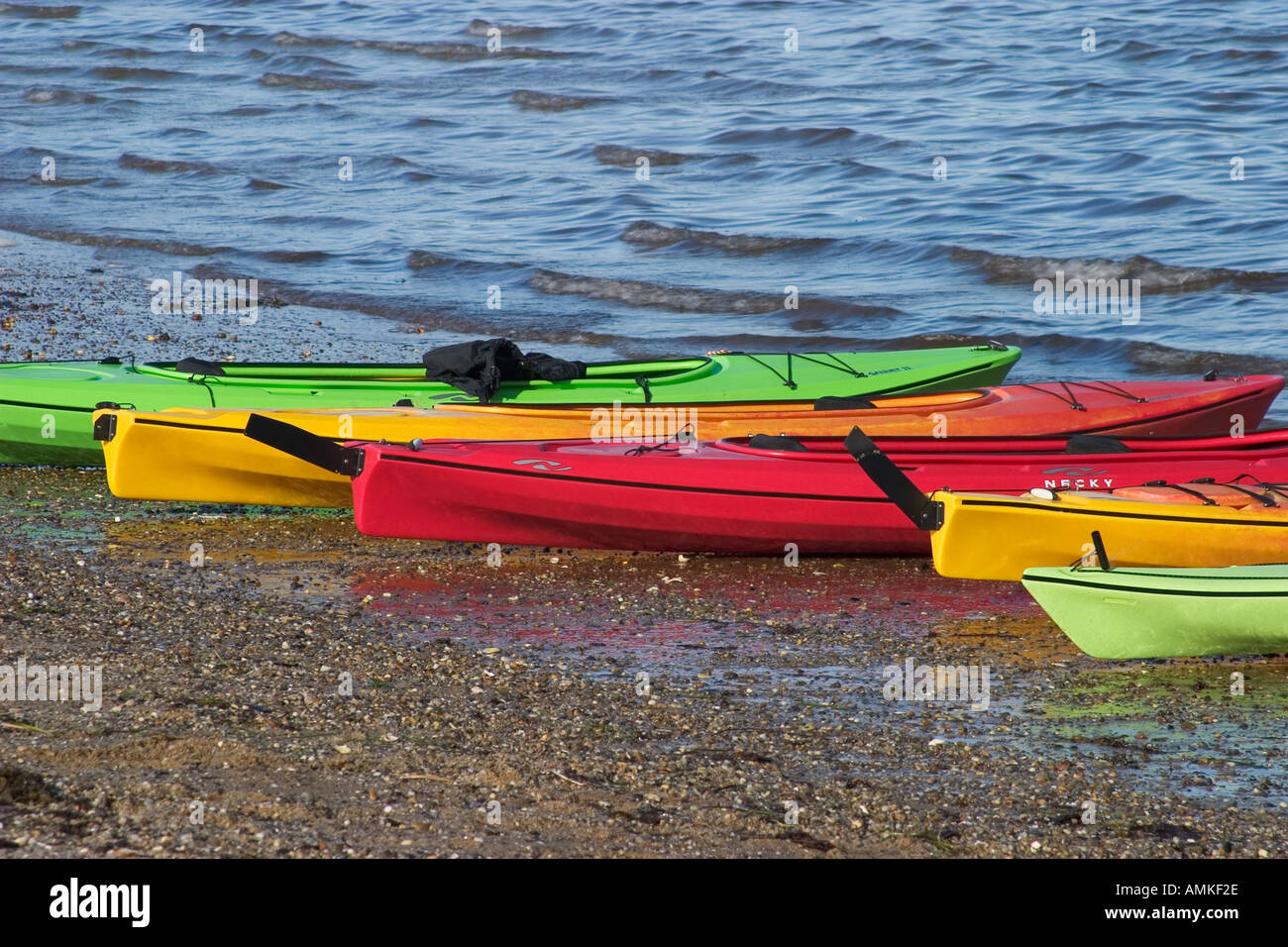 A line of colorful Kayaks wait by the waters edge for passengers in Provincetown Mass No Property Release Editorial use only Stock Photo