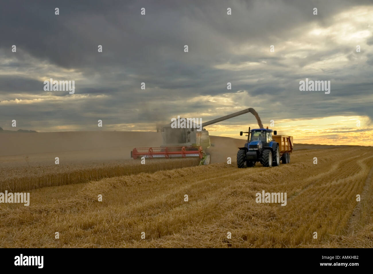 Combine harvester delivering grain at dusk while a storm brews Stock Photo