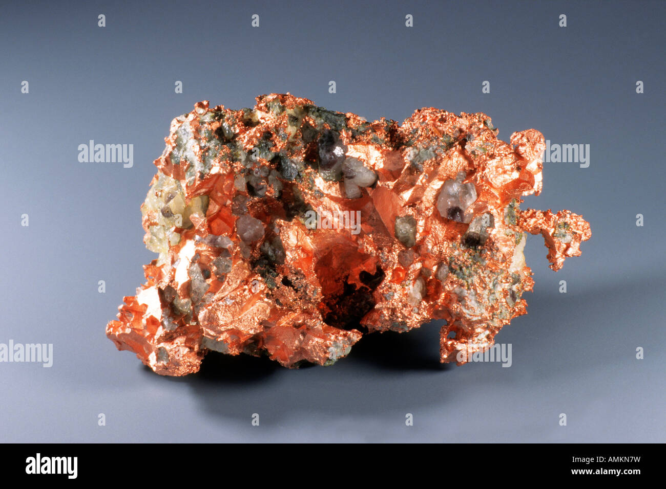 Native Copper (Cu), one of the few metallic elements that is found in elemental form, studio picture Stock Photo