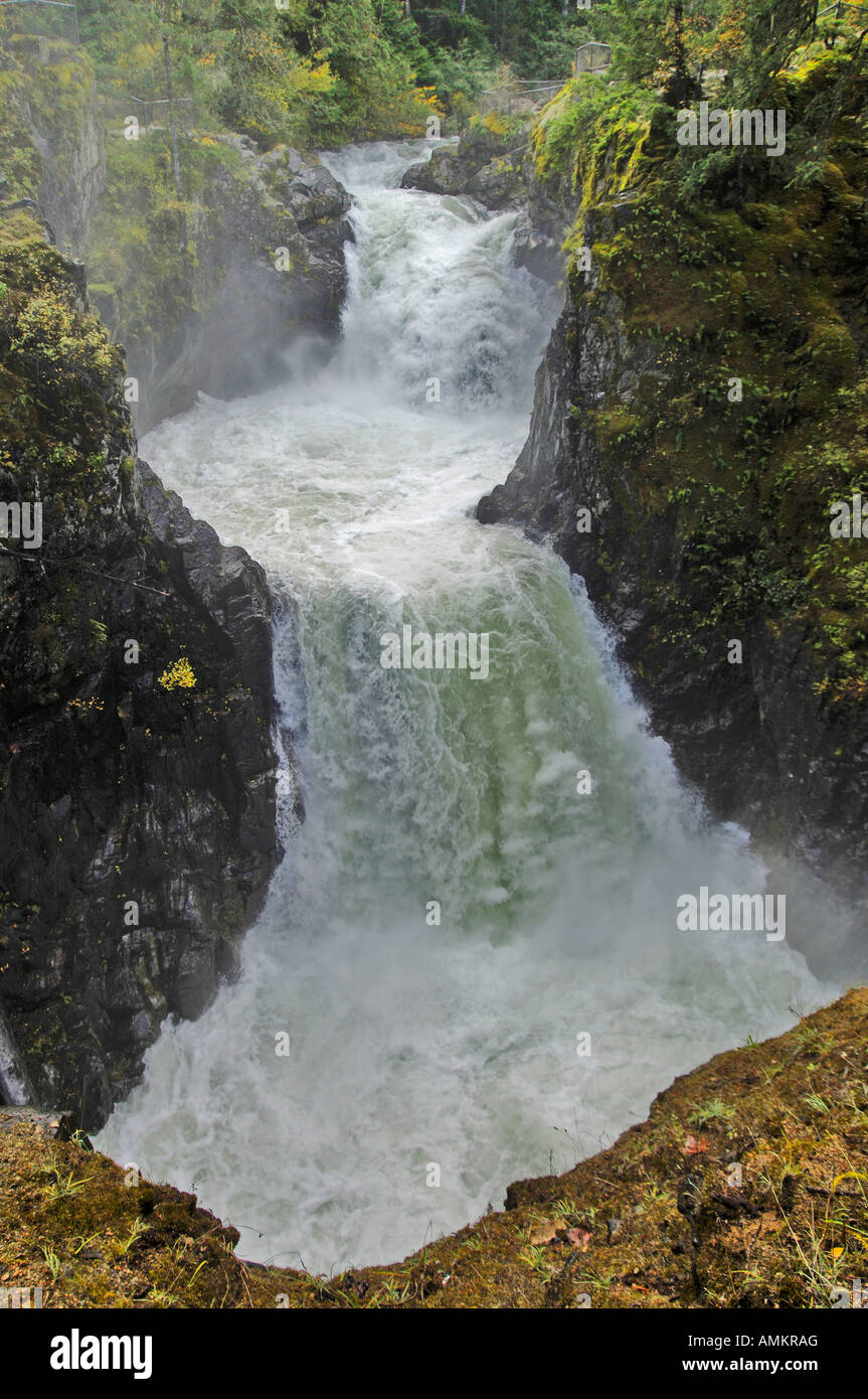 Little Qualicum Falls Provincial Park Stock Photo Alamy
