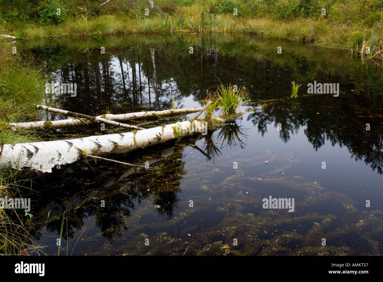 Pond digging hi-res stock photography and images - Alamy