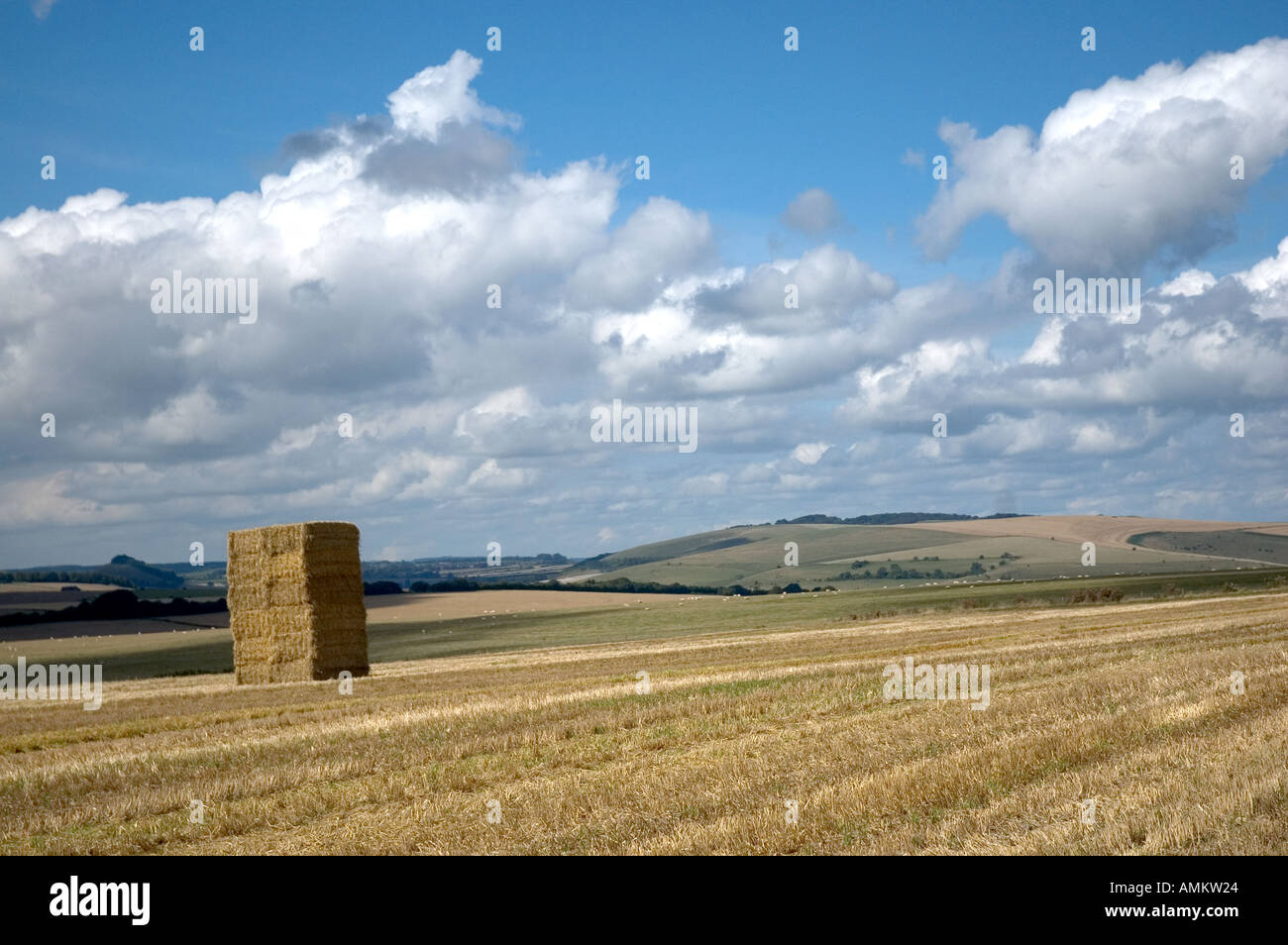 Straw bales Monkton Deverill Dorset England Stock Photo Alamy
