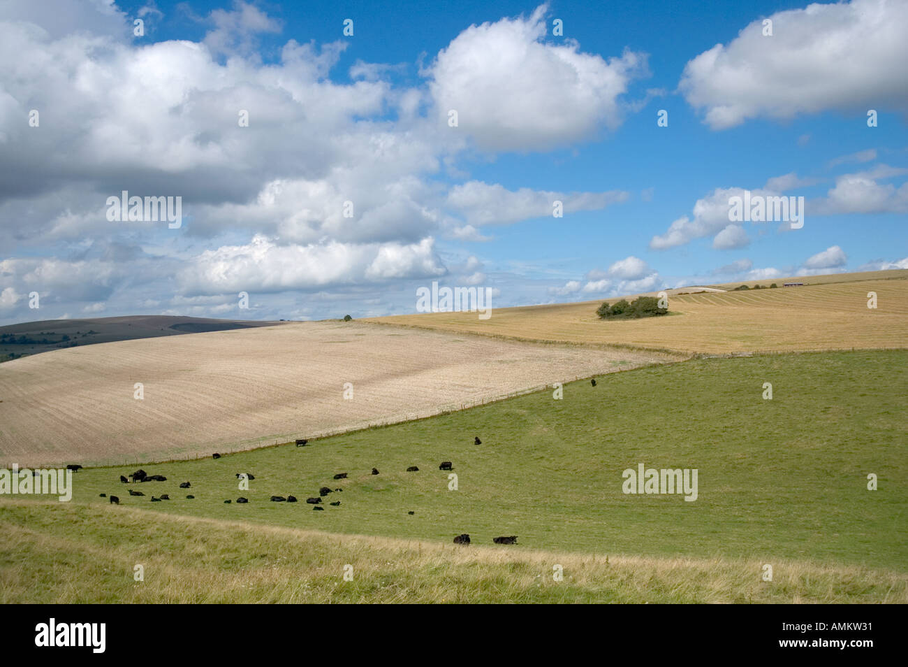 Straw bales Monkton Deverill Dorset England Stock Photo Alamy